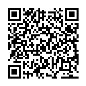 但是精品店的管事还是硬生生的将所有证据全都毁掉了二维码生成