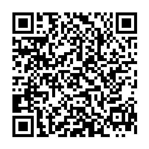 但是经过那些所谓世界闻名的专家治疗之后……基本上还是和没治过一样二维码生成