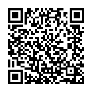 但是绝对的要求你不准缺少我们任何人的那一份情股二维码生成