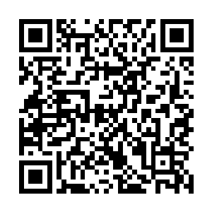 但是能开数百万的兰博基尼豪华跑车的人能是没钱的主二维码生成