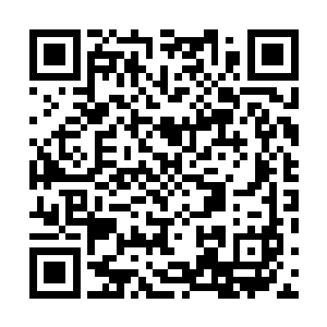 但是苏凡怎么都没想到这小家伙竟然这么果断的让自己走二维码生成