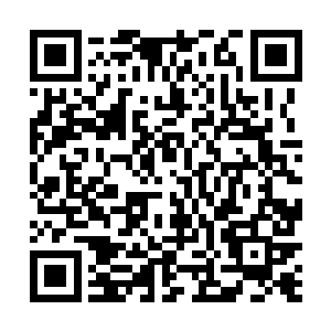 但是苏凡那我可无得笑容和戏谑的语气却让他很是不爽二维码生成