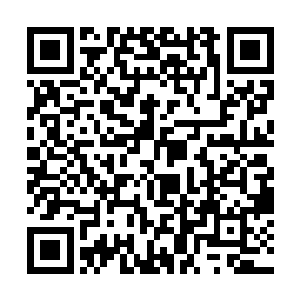 但是苏落的眼眸却不经意间闪过倒在血泊中的小灵狐二维码生成