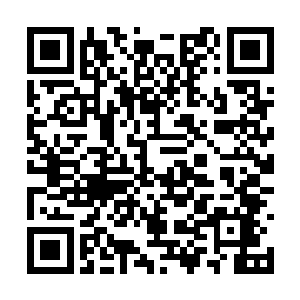 但是苏雷诺省的游行活动便如释放了潘多拉的盒子二维码生成