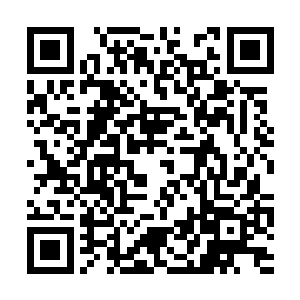 但是莎莎的活动也是放置在欧盟这个大环境之中的二维码生成