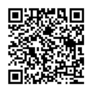 但是观点言语中却毫无疑问的认为司法局长更适合在内行中产生二维码生成