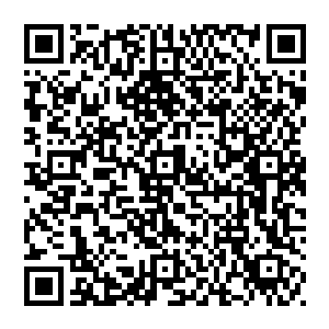 但是赛前这个插曲让马加特想到了另外一个可怕的事情――如果自己的战术安排都能够被外面的媒体随便得知二维码生成