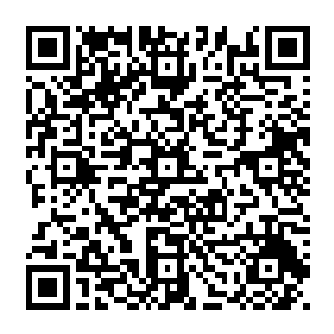 但是赵虎的第一期工程却仅仅只是将一个直径一千公里的微型陨石打造成一个小型居人星球二维码生成