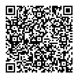 但是这一个十圣雷劫对赵纯良的杀伤力比之历史上虚炎宇宙出现过的十圣雷劫的杀伤力小了不知道多少倍二维码生成