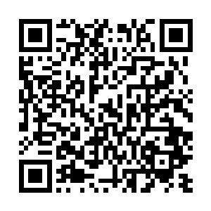 但是这一刻我看到了林梦君的眉心飞出了一个古朴的妖字二维码生成