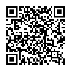 但是这一次对方能从定王府最精锐的麒麟手中强抢走徐清尘二维码生成