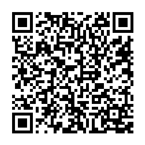 但是这个半成品在暴露出箱子过后很快便是开始枯萎成为了同样烧焦的尸体二维码生成