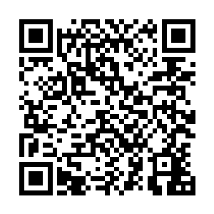 但是这个时候战斗的双方却明显的已经意识到了情况的不对二维码生成