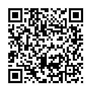 但是这并不代表着她在骨子里对叶凡的印象就发生了改变二维码生成