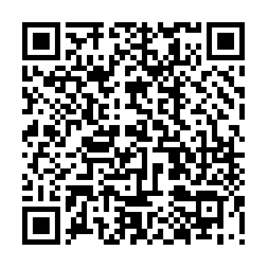 但是这并不会对秦方产生太大的影响……系统自动将缺损的技能补充完整二维码生成