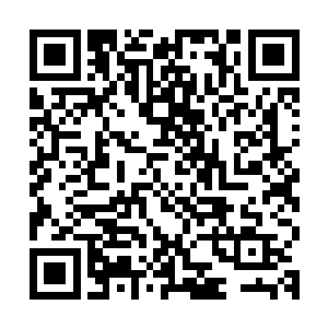 但是这并不妨碍金刚头凑过去测一测身体看看到底发生了什么事二维码生成