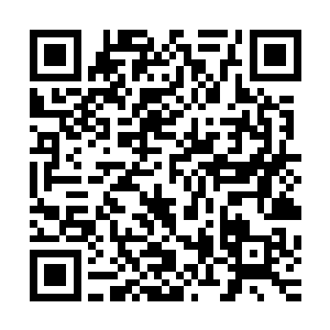 但是这是客观存在的事实……之前那么多人抢着要进她这一组二维码生成