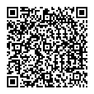 但是那个让将军令在花城接连受挫据说连女人都被他抢走了的方炎那就不是他们愿意接触的了二维码生成