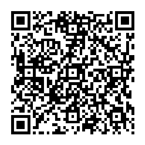 但是那些可能有的惩罚他没什么大碍不代表他爹一个年近六十的老头子也能受得了二维码生成