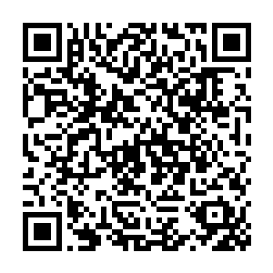 但是配合起来的威力就连一般的中位神高手也不敢轻易的跟他们对战二维码生成