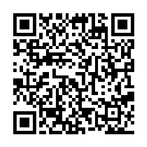 但是针织二厂招待所所处的地理位置正好卡在了要害位置上二维码生成