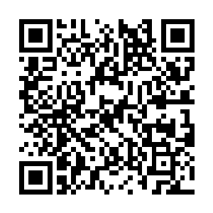 但是防御类的法宝本来就是同类法宝中价格最高的二维码生成