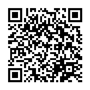 但是雨果所谓的票房号召力仅仅只有这两部作品而已二维码生成