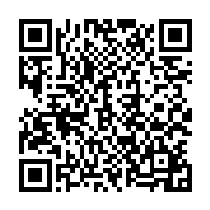 但是顶尖的上乘武学和世所罕见的旷世神功定然要一清二楚二维码生成