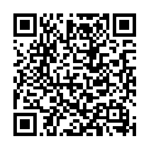 但是魔族的人还可以用魔巢之骨再弄一个新的魔巢出来二维码生成