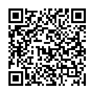 但是龙傲天估计最起码也可以提升到上位神后期的样子二维码生成