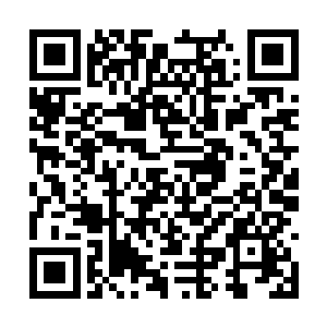 但最大问题是怎么保持他们的吃喝拉撒住的这问题二维码生成