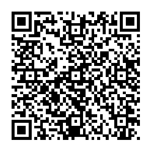 但李玄成一身的生命精华依旧让连巅峰武师都不算的白昊的身体素质直接上升了一个等级二维码生成