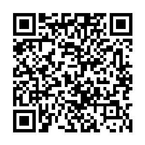 但杨开估计就算他们联手也不可能打出这个掌印来二维码生成