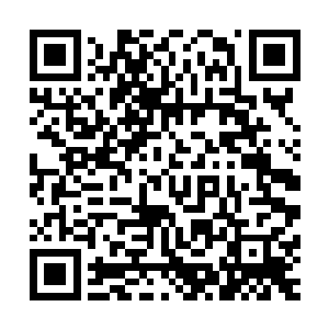 但林辰却是从始至终都无法看透对方究竟拥有着什么样的修为二维码生成