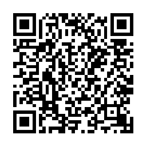 但此时的罗兰的确送了一份最适合伊丽莎的大礼在她面前二维码生成
