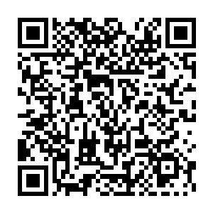 但每一年的奥斯卡他都会坐在沙发前观看直播――不是因为内心的执念二维码生成