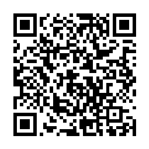 但比起巴克他们这样成天在刀口上舔血的家伙来说二维码生成