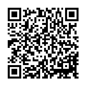 但毕竟神兵材料却不像是变异果王一般能够找到与众不同的二维码生成