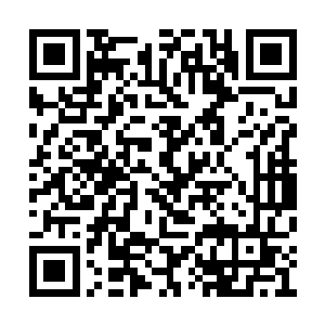 但气势已经完全将酒馆内外的所有人全都镇住了二维码生成