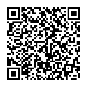 但没有达到预期中打残敌人的目的……对方凭种族天赋背靠树林可进可退二维码生成