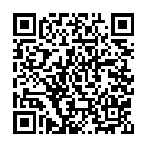 但泰瑞尔此刻却依旧一眼就认出了衣卒尔的身份二维码生成