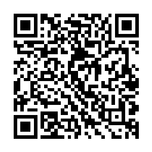 但烈山县委县政府组建了一支专门具有相当专业性的招商队伍二维码生成