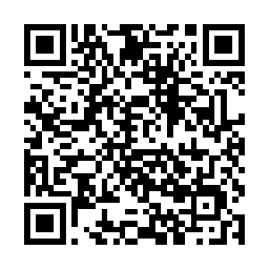 但现在杨天林这个家主如此这焦急的夺回来的玄木令二维码生成