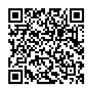 但白素仙的情感经历和人生经历同样也不是一般人能比得了的二维码生成
