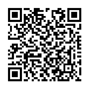 但目前反派值依旧不足以抵扣那大燕复国任务惩罚二维码生成