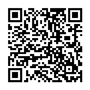 但看到她手指上明显被琴弦割伤的手指和红肿的手腕二维码生成