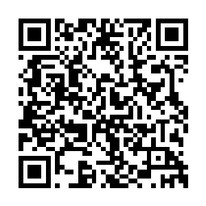 但看到对方的样子她又怕自己过去会让妮娜分心二维码生成