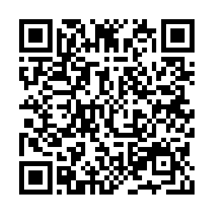 但眼睁睁看着陈老这般模样无动于衷又于心不忍二维码生成