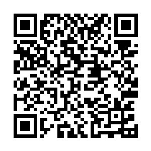 但秋陨……秋陨分明应该早已死在秦始皇陵的副本里了才对二维码生成