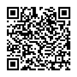 但能不能麻烦你们在扮演伤感的时候真情实意一些二维码生成